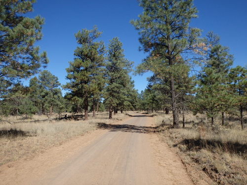 GDMBR: Northbound on CR-42.